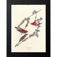 thumbnail image 2 of Audubon, John James 11x14 Black Modern Framed Museum Art Print Titled - Purple Finch, 2 of 5