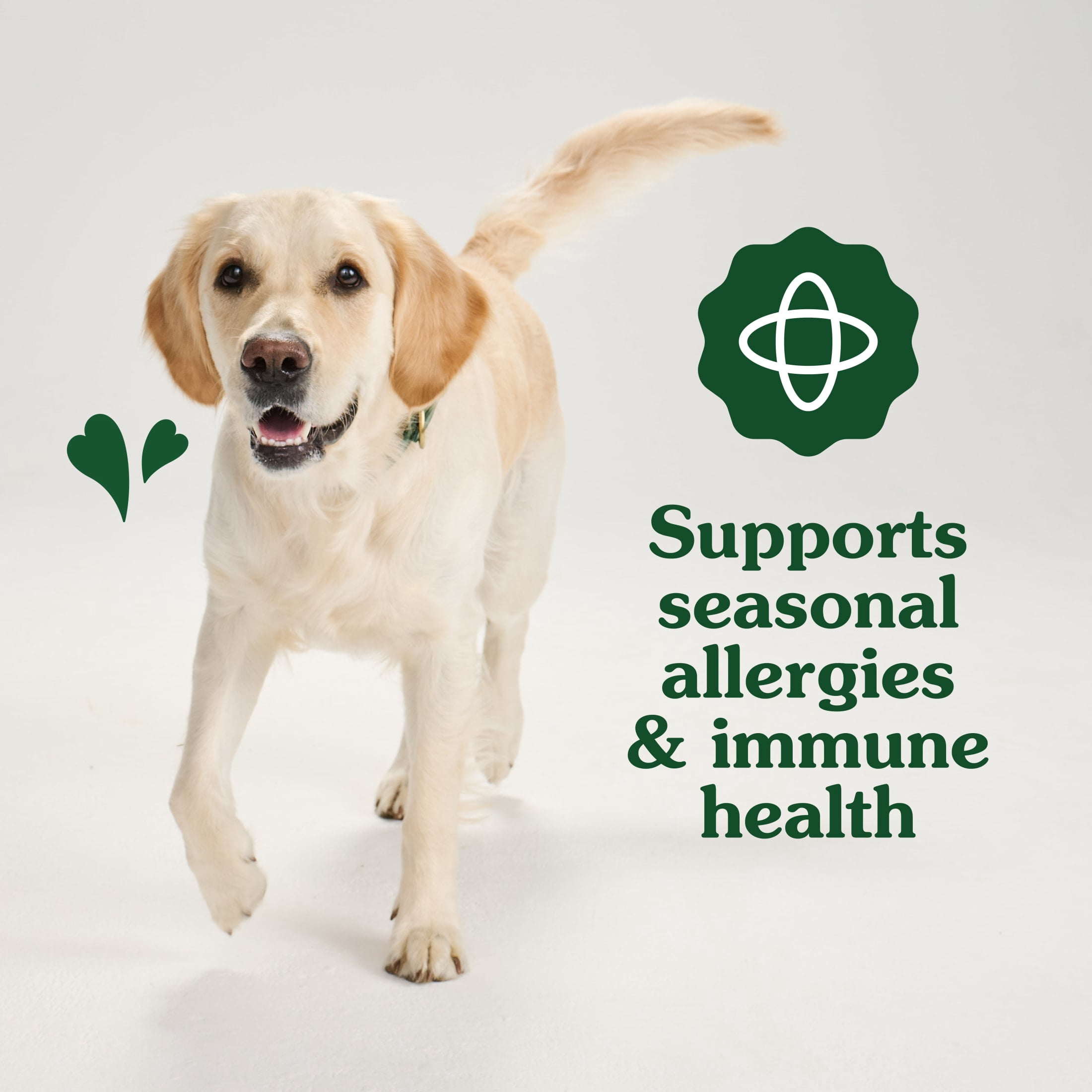 Greenies Supplements Peanut Butter Flavor Allergy & Immune Support Dog Chews, 7.76 oz Pouch