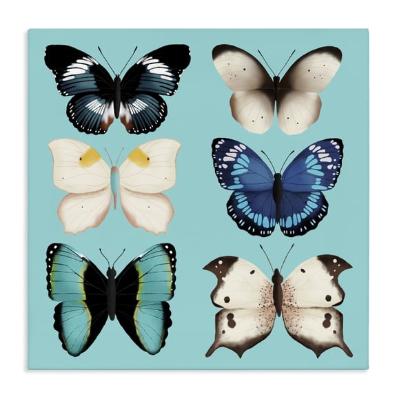 Stupell Industries Six Diverse Butterflies on Turquoise Canvas Wall Art, design by Metka Hiti