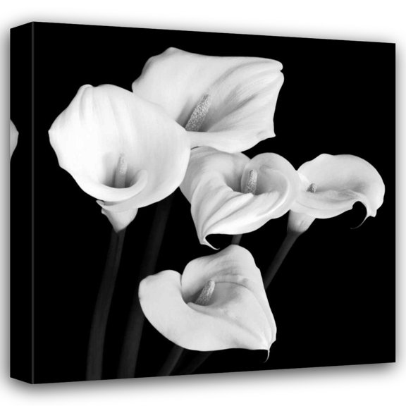 Michael Faragher 15x15 Gallery Wrapped Canvas Wall Art Titled - Harmony
