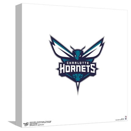 Gallery Pops NBA Charlotte Hornets – Primary Logo Canvas Wall Art Unframed Version 12 x 12