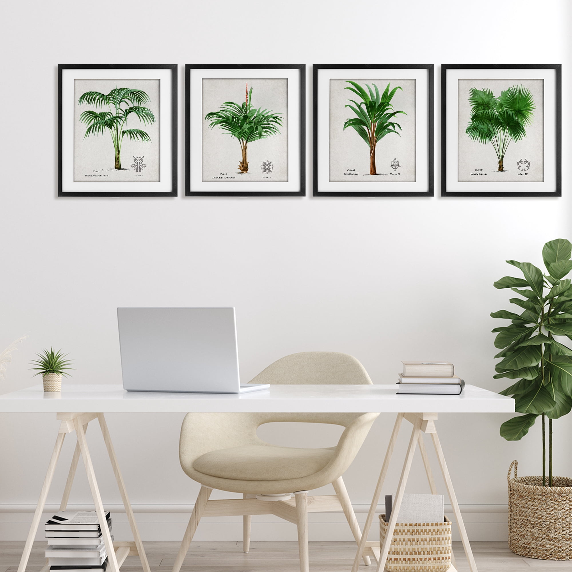 Stupell Industries Palm Varieties Studies 4 Piece Black Framed Print Under Glass Set, design by Natalie Carpentieri