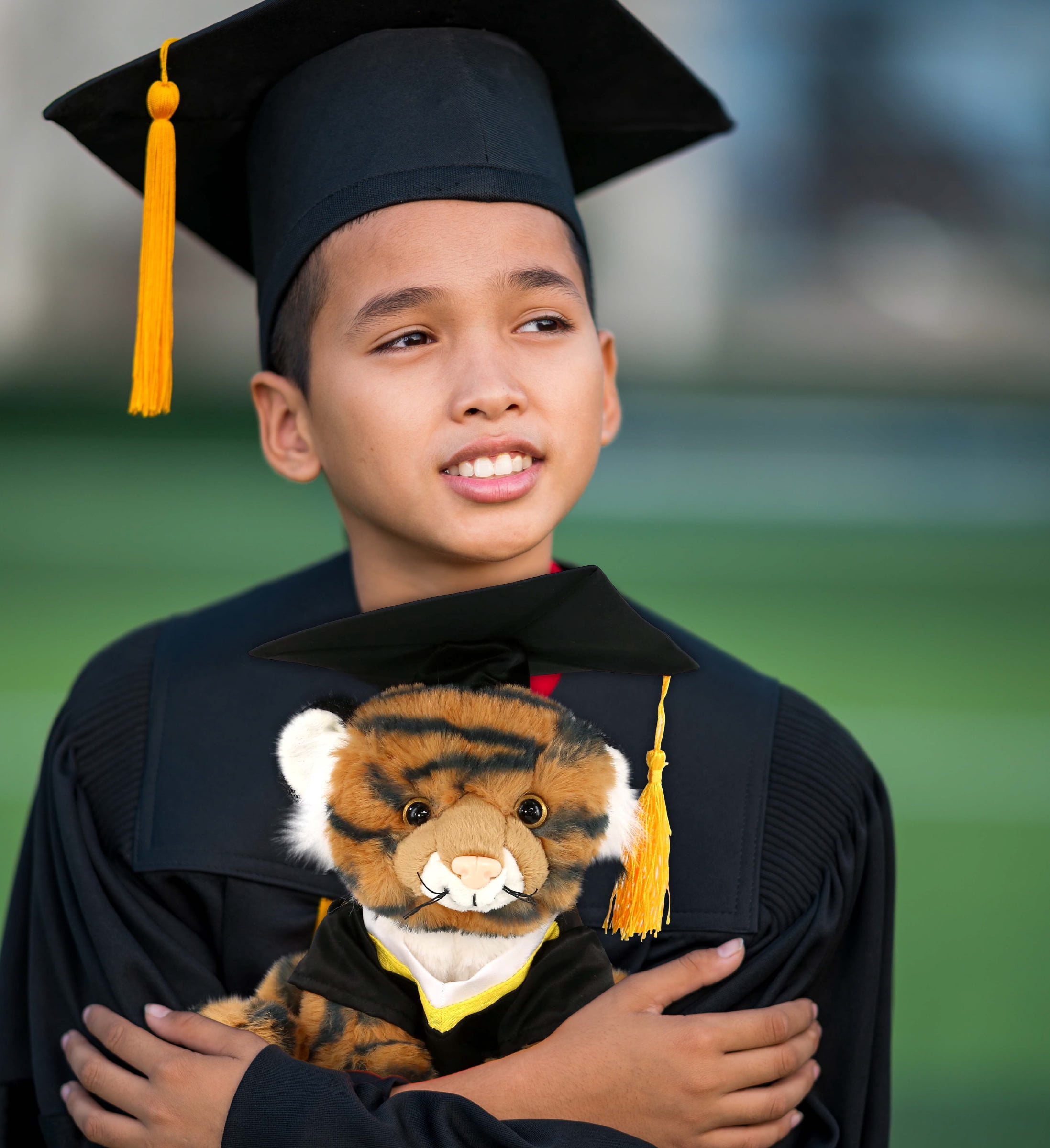 DolliBu Squat Tiger Graduation Plush Toy - Soft Tiger Plush Graduation Stuffed Animal Dress Up with Gown & Cap with Tassel Outfit - Congratulatory Graduation Gift - 8 Inches