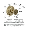 thumbnail image 5 of Amerock Enlivity 1-1/4 inch (32mm) Diameter Golden Champagne Cabinet Knob, 5 of 5