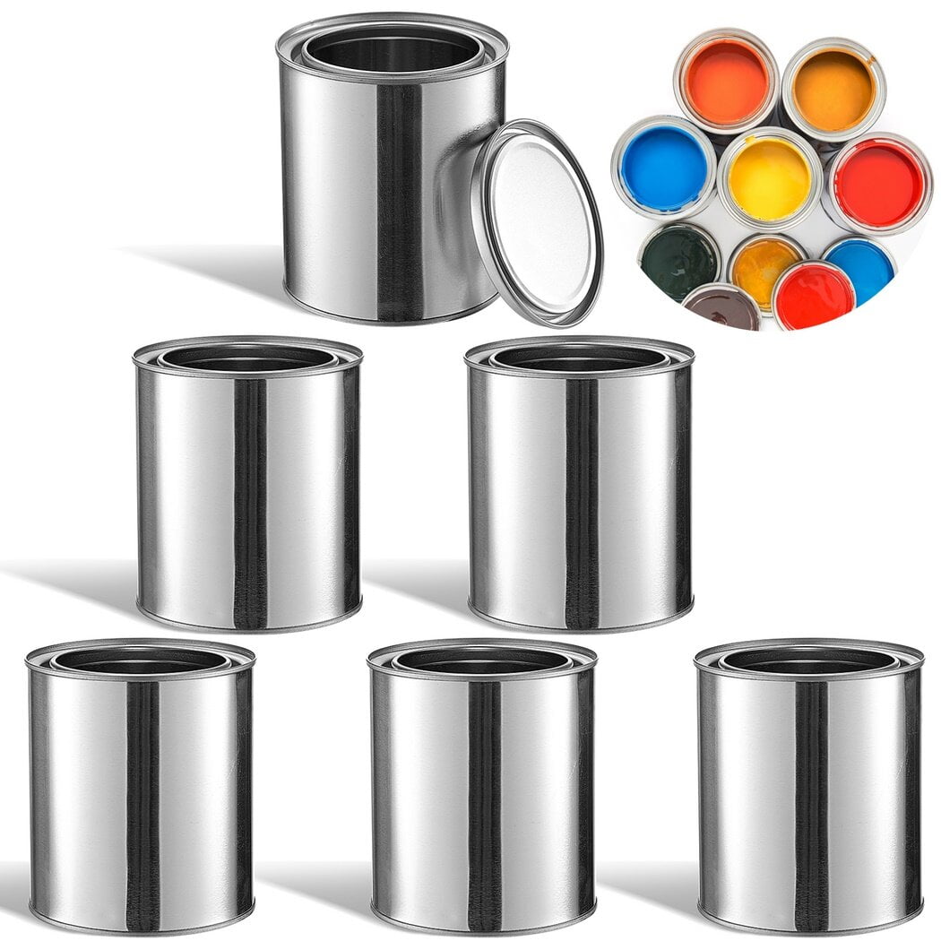6PCS Metal Paint Cans, Empty Unlined Paint Cans with Lids, 1/2 Pint