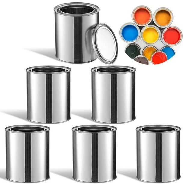 6PCS Metal Paint Cans, Empty Unlined Paint Cans with Lids, 1/2 Pint Paint Pails Storage