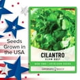 thumbnail image 4 of Slow Bolt Cilantro Seeds, 4 of 6