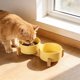 thumbnail image 4 of Comedero cerámico elevado doble para gatos para comida y agua, cuencos elevados inclinados para proteger y prevenir la fatiga de los bigotes, plato alto antideslizante para gatos y perros pequeños, 4 of 7