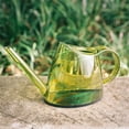 thumbnail image 2 of Small Indoor Watering Can for House Plants - Stylish Plastic Watering Pitcher with Long Spout for Potted Plants, Succulents, and Desk Gardens 1.4L, 2 of 7