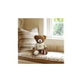 thumbnail image 3 of Enesco Boyds Bears Chubs Beanster 45th Anniversary Plush Bear, 12 in, 3 of 6