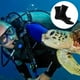 thumbnail image 4 of Neoprene diving socks, 3mm super premium fin socks, snorkelling socks with adjustable straps-Black-L, 4 of 4