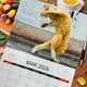 thumbnail image 4 of Calendario de Pared Kung 2026 Calendario Divertido, 4 of 7