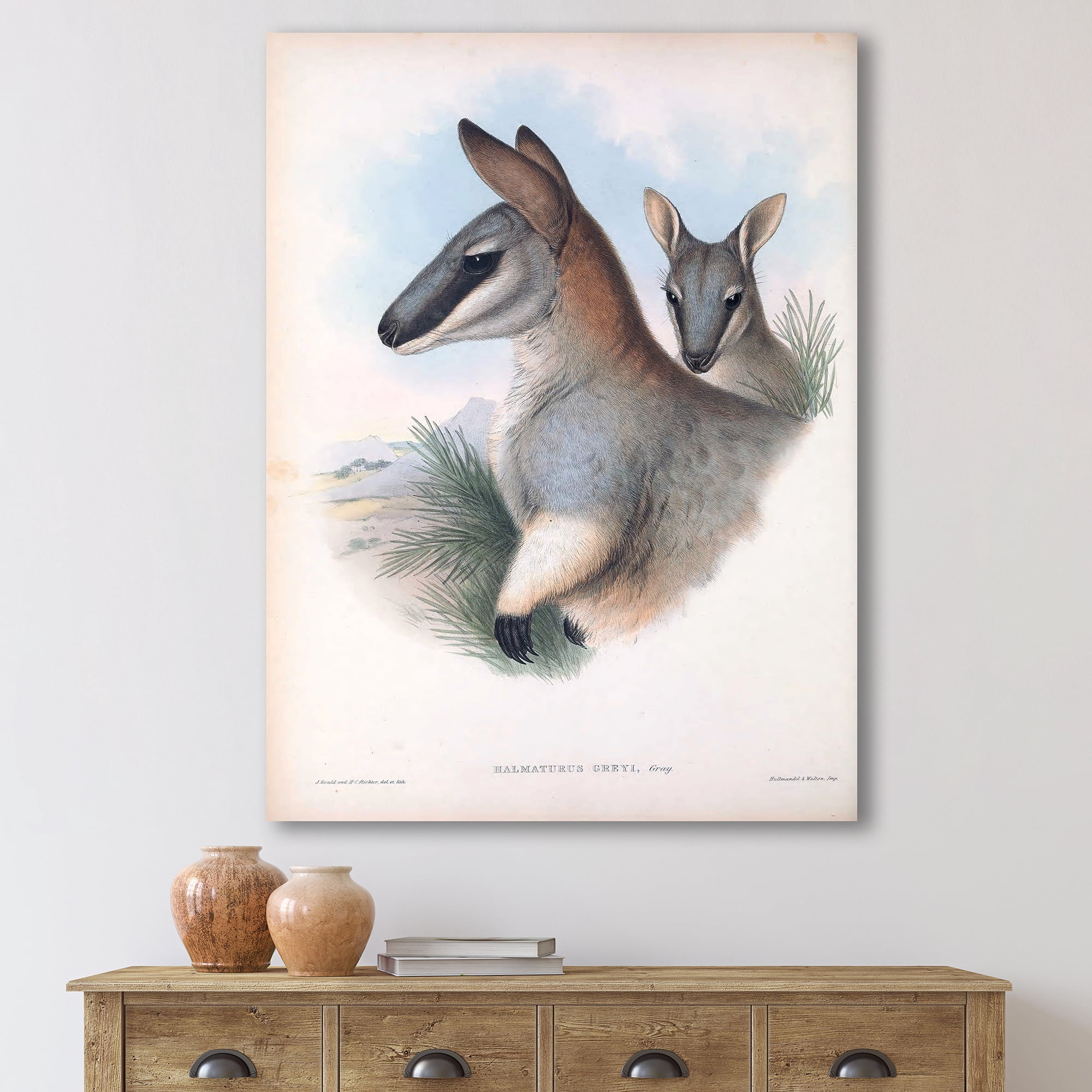 Designart ' Ancient Kangaroo ' Farmhouse Canvas Wall Art Print