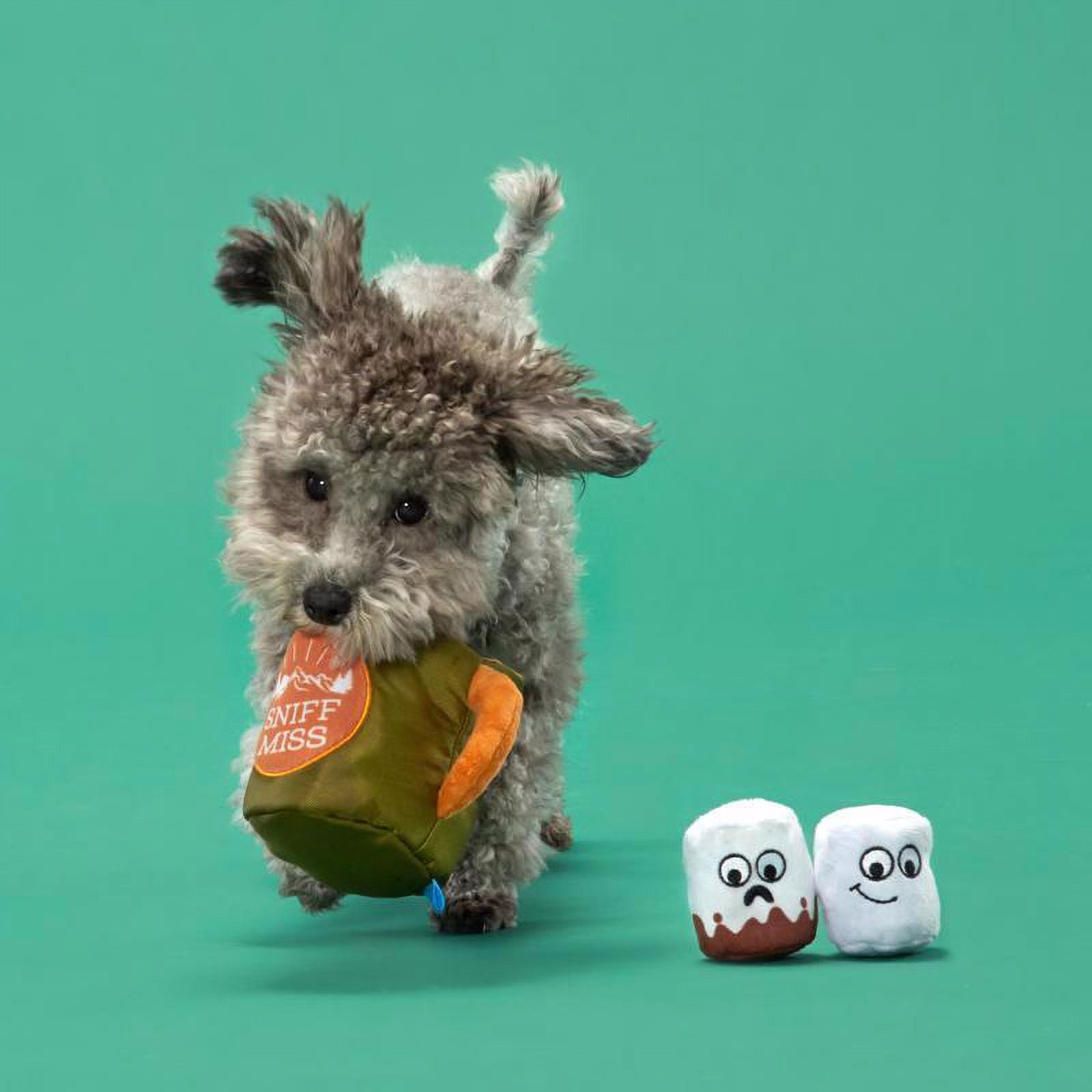 Bark 9084441 Plush Sniff Miss Dog Toy, Multi Color - Pack of 3