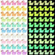 Hengguang 200Pcs Mini Resin Ducks, Luminous Tiny Ducks, Miniature Duck Glow in The Dark Ornament for Dollhouse Garden Decoration DIY Craft Micro Landscape Aquarium Party Decor