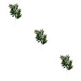 thumbnail image 4 of Plantas artificiales realistas con hojas de seda 10 piezas Wosthever, 4 of 6