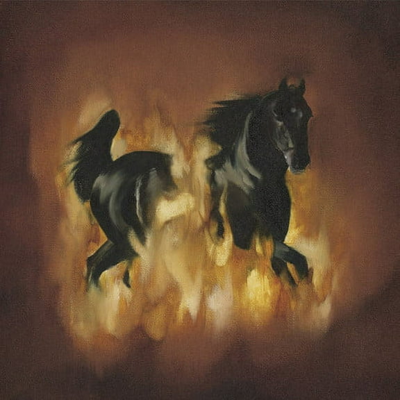 The Besnard Lakes - The Besnard Lakes Are The Dark Horse - Music & Performance - Vinyl