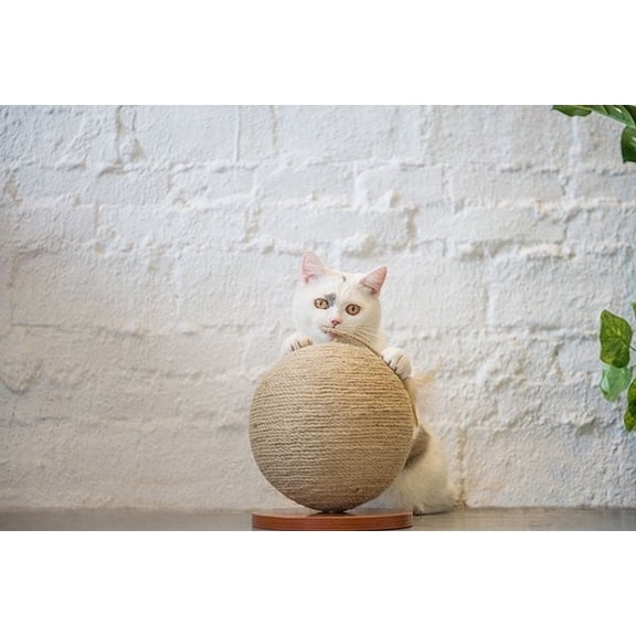 ZARKEA Woven rope ball scratcher 12" wide