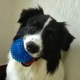 thumbnail image 3 of Pelota de juguete brillante con fugas para mascotas de 3 piezas Ormromra WHFLD5, 3 of 3