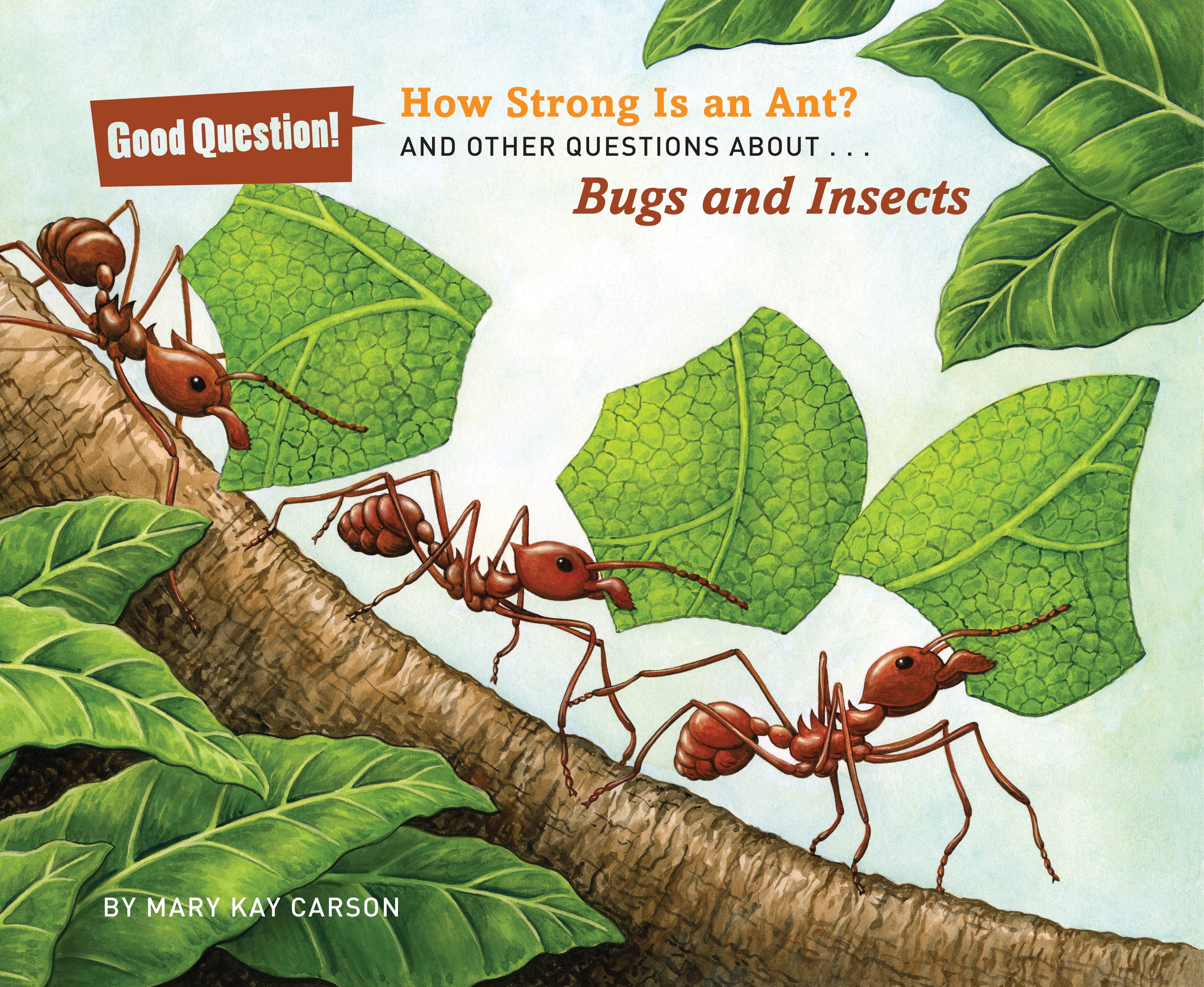 How Strong Is An Ant And Other Questions About Bugs And Insects How strong is an ant and other questions about bugs and insects