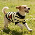 thumbnail image 2 of TIELUTT Lightweight Soft Comfortable and Breathable Pet Clothes for Medium Dogs Boys Pet Clothes Rack Small Pet Clothes for Large Dogs Male Pet Clothes for Medium Dogs Female Pet Clothes for Small Do, 2 of 5