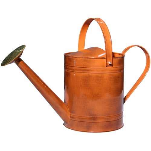 Robert Allen Home and Garden Canyon 2-Gallon Watering Can by Robert Allen Home and Garden