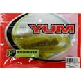 YUM Fishing Soft Bait Lizard Assortment