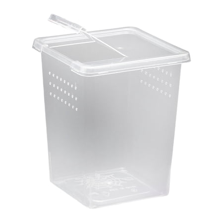 Small Pet Terrarium Turtle Transport Container Spider Enclosure Transparent PP Material for Kids and Adults
