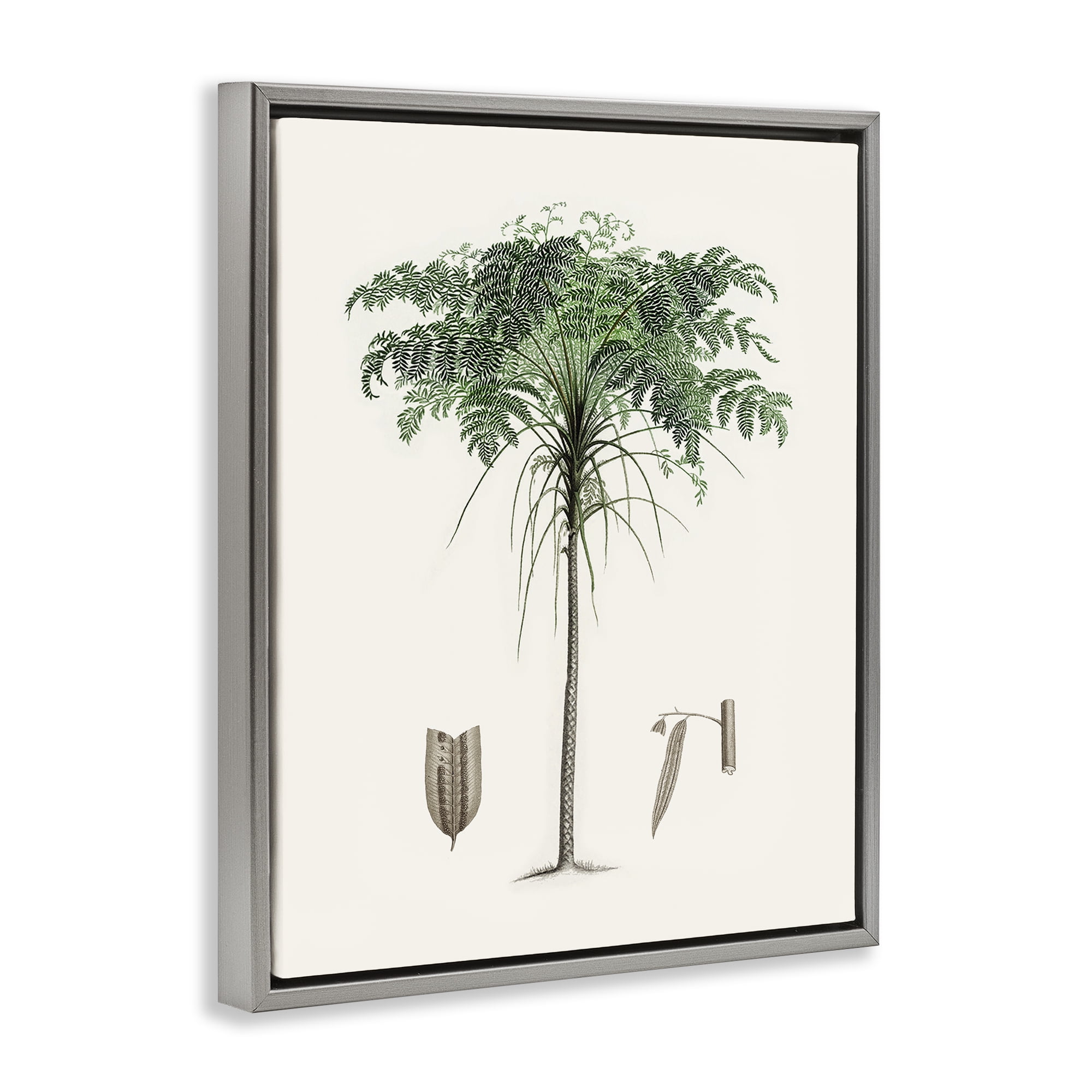 Stupell Industries Vintage Palm Leaves Gray Framed Floater Canvas Wall Art, design by Val Rhodes