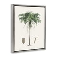 thumbnail image 2 of Stupell Industries Bohemian Vintage Palm Leaves Gray Floating Frame Canvas Art, 25 x 31, by Val Rhodes, 2 of 8