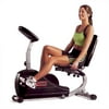 Edge 280 Belt Recumbent Bike