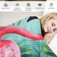 thumbnail image 4 of Jiayy Flamingo Throw Blanket, Adorable Super-Soft Extra-Large Flamingo Blanket for Girls, Teens, Women, and Kids, Cute Flamingo BlanketWarm and Cozy Throw for Travelling, Bed or Couch, 4 of 7
