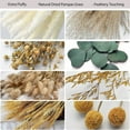 thumbnail image 6 of Dried Pampas Grass,65 Pcs Dried Flowers Decoration Natural Pampas Grass Decor Small Dried Flowers Dried Plants Home Wedding Decor Bedroom Balcony Kitchen Home Decor, 6 of 7