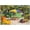 500 PCS, variant on 500 Piece Coconut Experience Inspired Jigsaw Puzzle for Adults, 20.5x15 in – Premium Textured Pieces, Gift for Families & Caribbean Art Enthusiasts