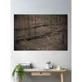 thumbnail image 2 of Bear Log Poster Wall Art, Modern Wall Decor, 12x18 UNFRAMED, 2 of 3