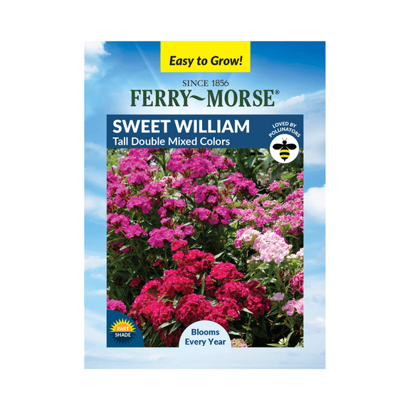 Ferry-Morse 275MG Sweet William Tall Double Mixed Colors Perennial Flower Seeds, Partial Shade