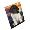 thumbnail image 1 of Couverture pour Chien Terre-Neuve BLNKT92496, 1 of 3