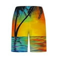 thumbnail image 3 of Chiccall Mens Graphic Pocket Shorts Elastic Waist Drawstring Summer Casual Hawaiian Tropical Beach Swim Trunks Multicolor, 3 of 3