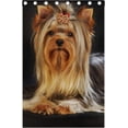 thumbnail image 3 of Coolnut Yorkirsky Terrier in Studio Thermal Insulated Blackout Grommet Printed Window Curtain - 84x55 in - 100% Polyester 2 Panels, 3 of 5