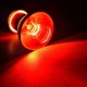 thumbnail image 1 of 1Pc E27 LED Red Reptile Night Light UVA Infrared Heat Lamp Bulb for Snake Lizard Reptile 220-240V 60W 75W 100W for Amphibian He Qiyong unisex, 1 of 2