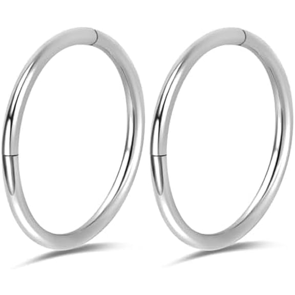 2Pcs Titanium Hinged Piercing Rings Hoop 20G 18G 16G Nose Ring Septum Segment Ring Clicker Cartilage Helix Tragus Conch Daith Rook Hoop Earrings,