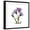Black Frame, variant on Art.com Purple Gentian Square Stretched Canvas Print Wall Art by Albert Koetsier, 30" x 30"