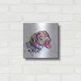 thumbnail image 3 of Luxe Metal Art 'Colorful Watercolor German Shorthaired Pointer' by Furbaby Affiliates, Metal Wall Art, 12"x12", 3 of 9