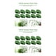 thumbnail image 1 of Soporte para plantas trepadoras Advancent 10 piezas autoadhesivo verde 3.3x1.3 cm, 1 of 6