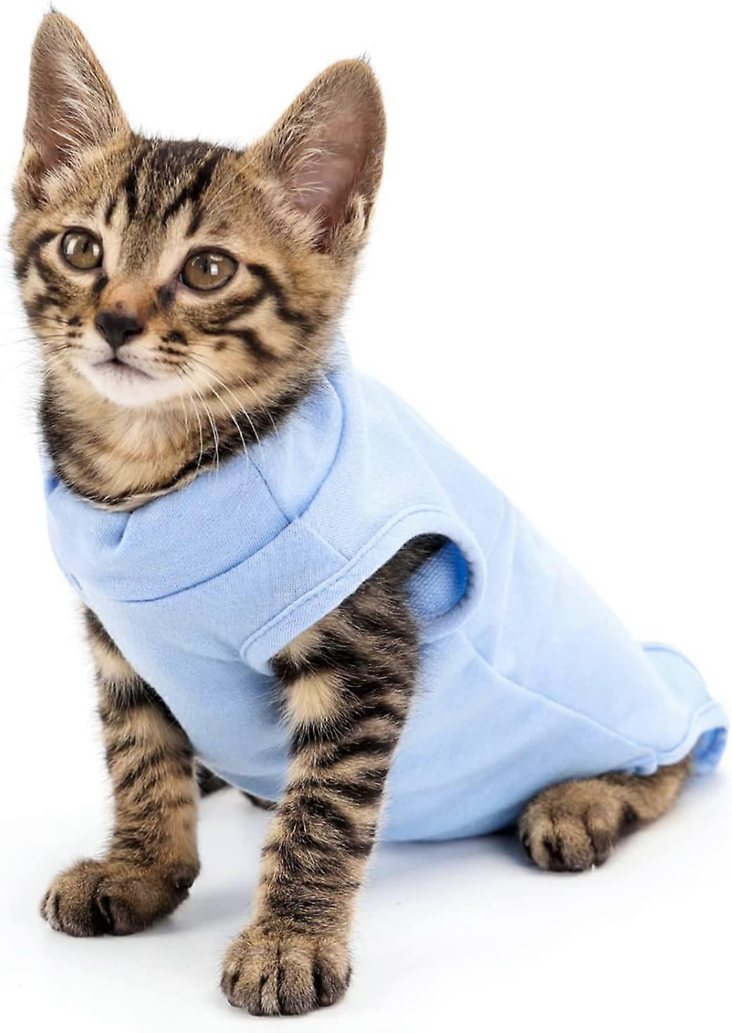 2 Bodies Postoperatorios Para Gatos - Malla Transpirable, Protección Tras Castración, Talla M