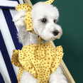 thumbnail image 5 of Dinheiro Vestido floral de 2 piezas para gatos y perros Vestido de primavera y verano con banda Vestido floral rojo y amarillo, 5 of 5