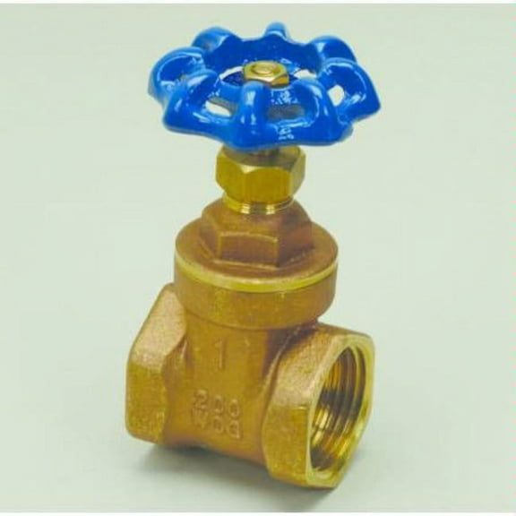 Proflo Pft300g 1" Non Rising Stem Gate Valve