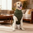 thumbnail image 4 of Hearth & Gear Anxiety Calming Vest For With Reflective Features Soothing Support For Thunderstorms And Stress Pet Clothes for Medium Dogs Girl Pet Clothes Hangers Metal Pet Clothes for Small Dogs Male, 4 of 5