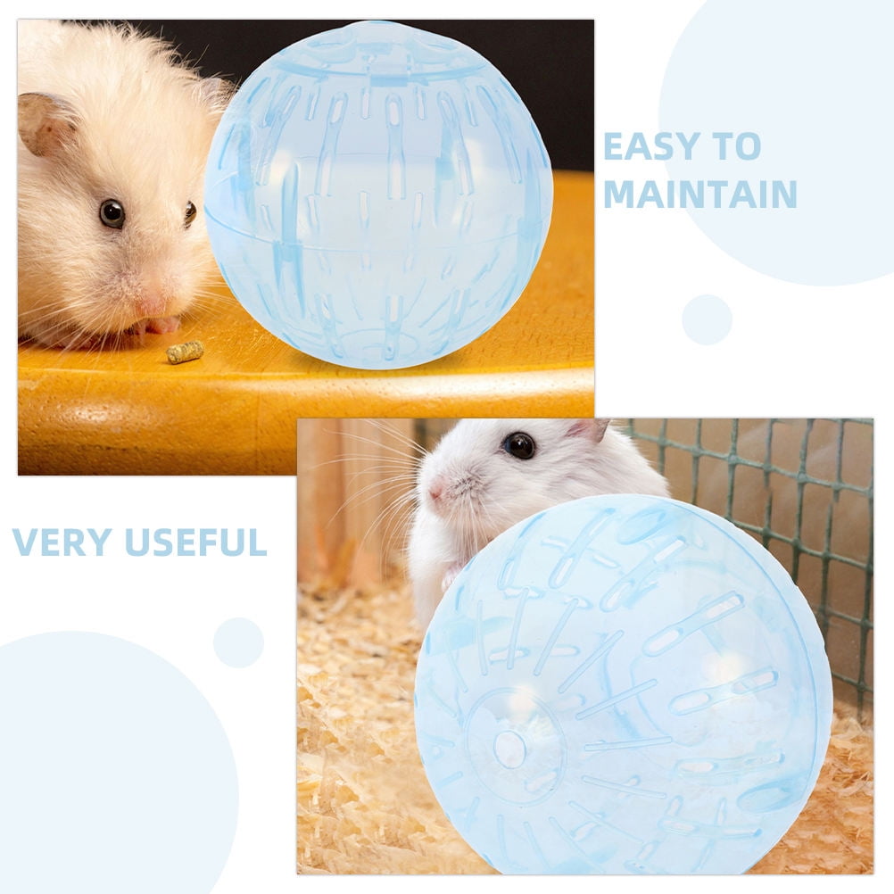 PTOOTP Sky Blue Clear Hamster Running Ball for Small Pets Ideal for Home Exercise and Entertainment