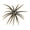 Green Pumpkin, variant on Berkley PowerBait® MaxScent 'Moeba, 3.5 in, Creatures, Green Pumpkin (1-count)